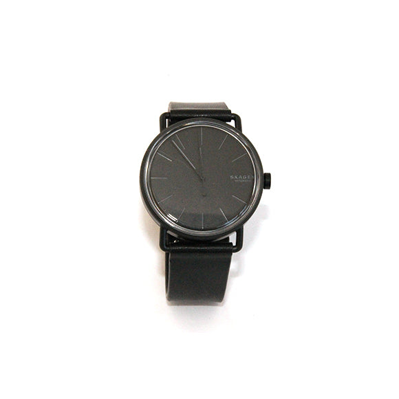 Skagen skw6398 hot sale