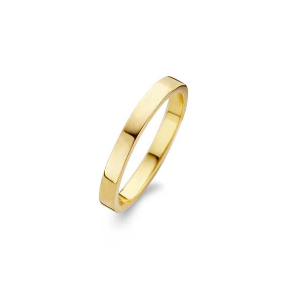 Spirit Icons Raw Polished Ring Forgyldt 53162