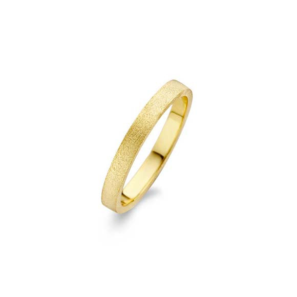 Spirit Icons Raw Rustic Ring Forgyldt 53172